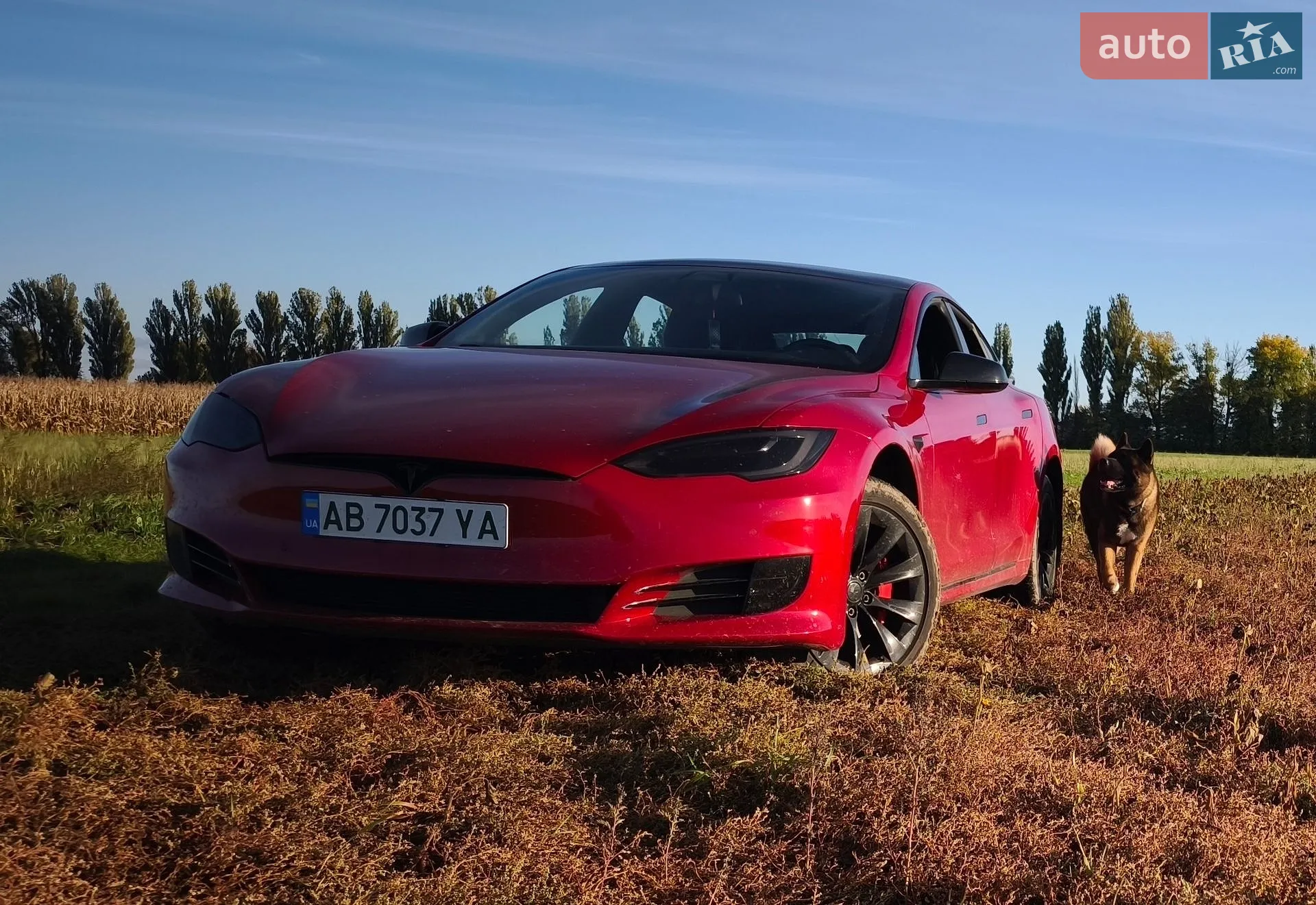 2018 Tesla Model S - фото 1