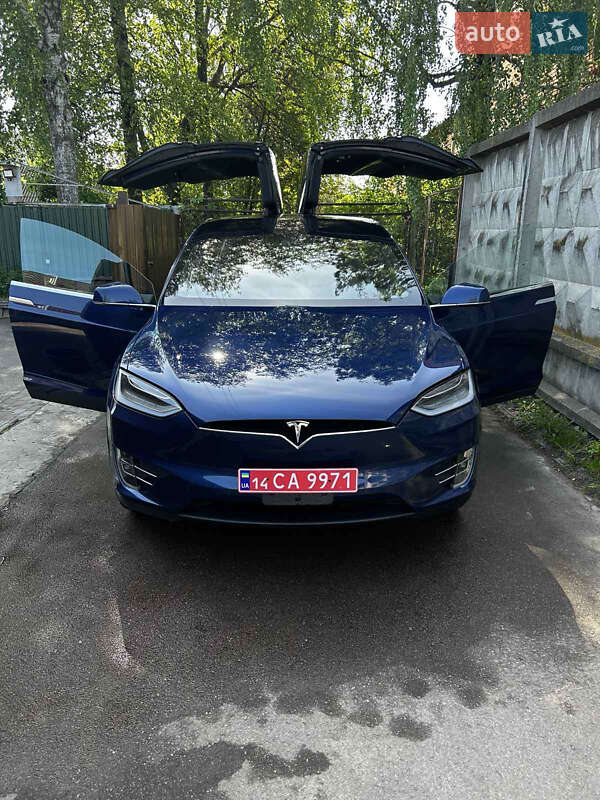 Внедорожник / Кроссовер Tesla Model X 2018 в Житомире