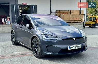Внедорожник / Кроссовер Tesla Model X 2023 в 
