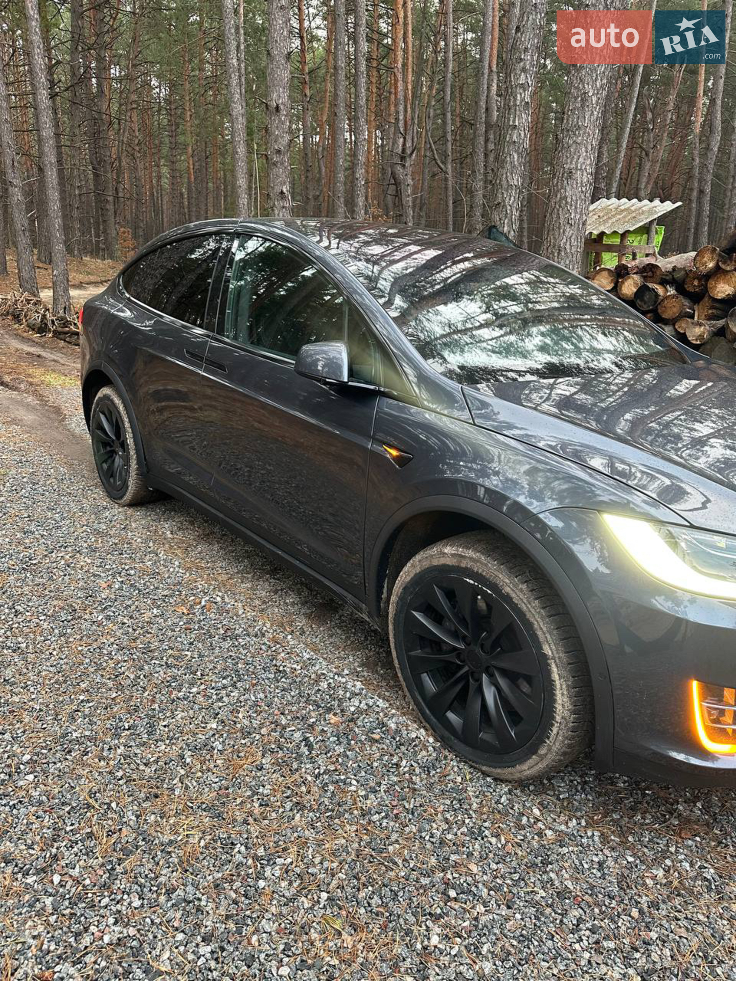 2019 Tesla Model X - мініатюра 3
