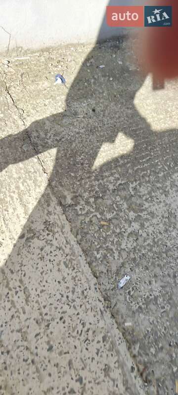 Внедорожник / Кроссовер Tesla Model X 2019 в Ужгороде