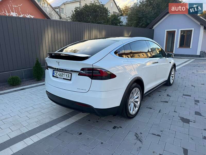 Внедорожник / Кроссовер Tesla Model X 2019 в Черновцах