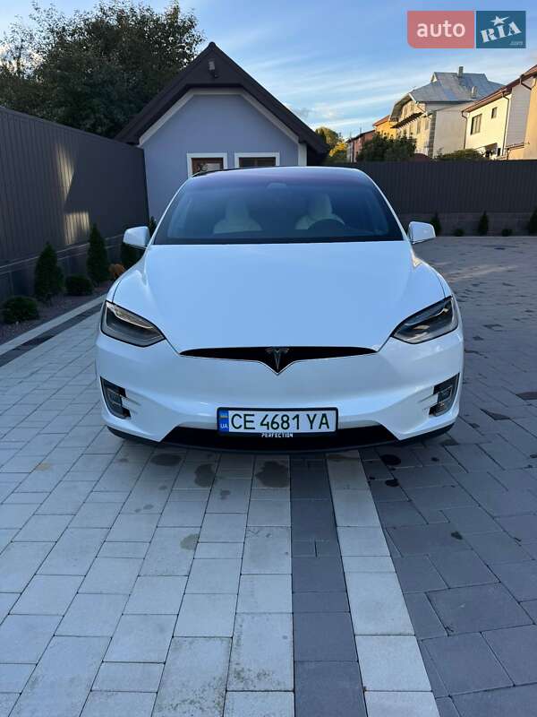 Внедорожник / Кроссовер Tesla Model X 2019 в Черновцах