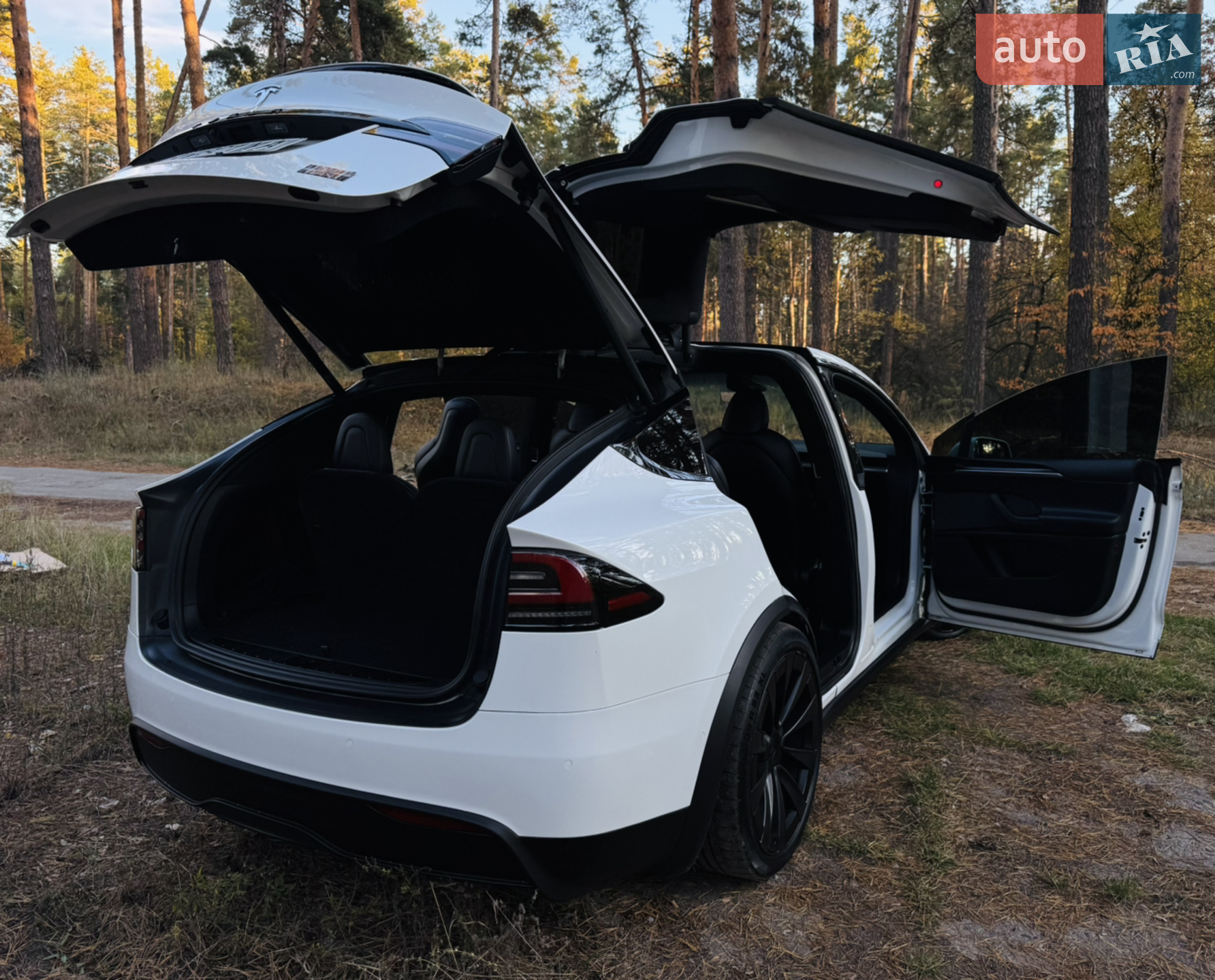 2022 Tesla Model X - мініатюра 16