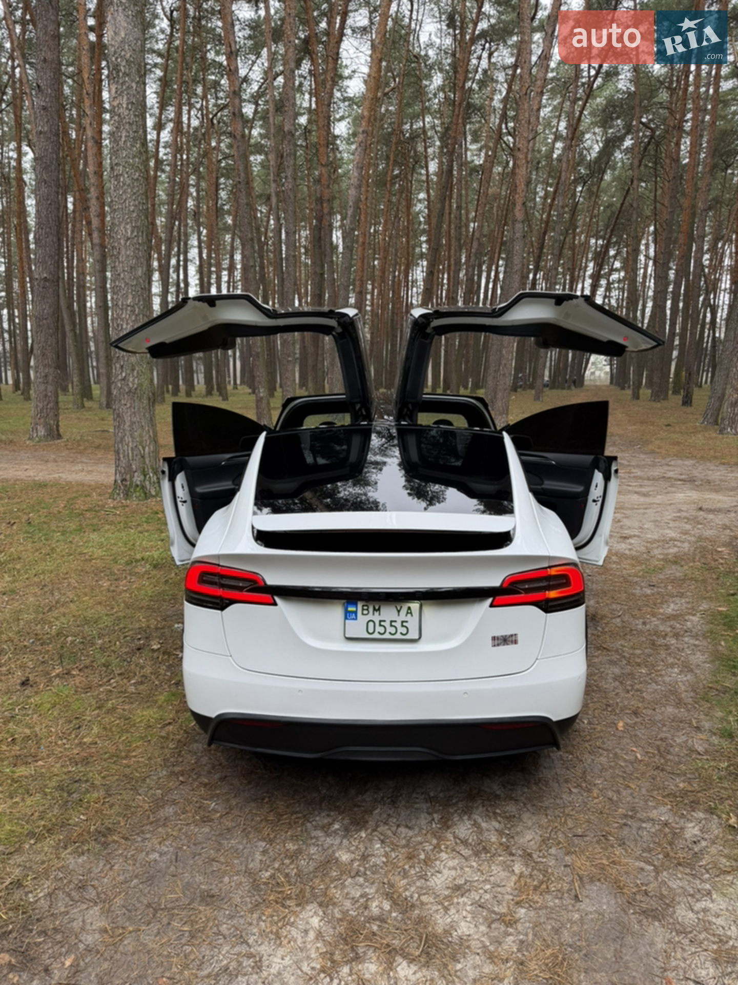 2022 Tesla Model X - мініатюра 9