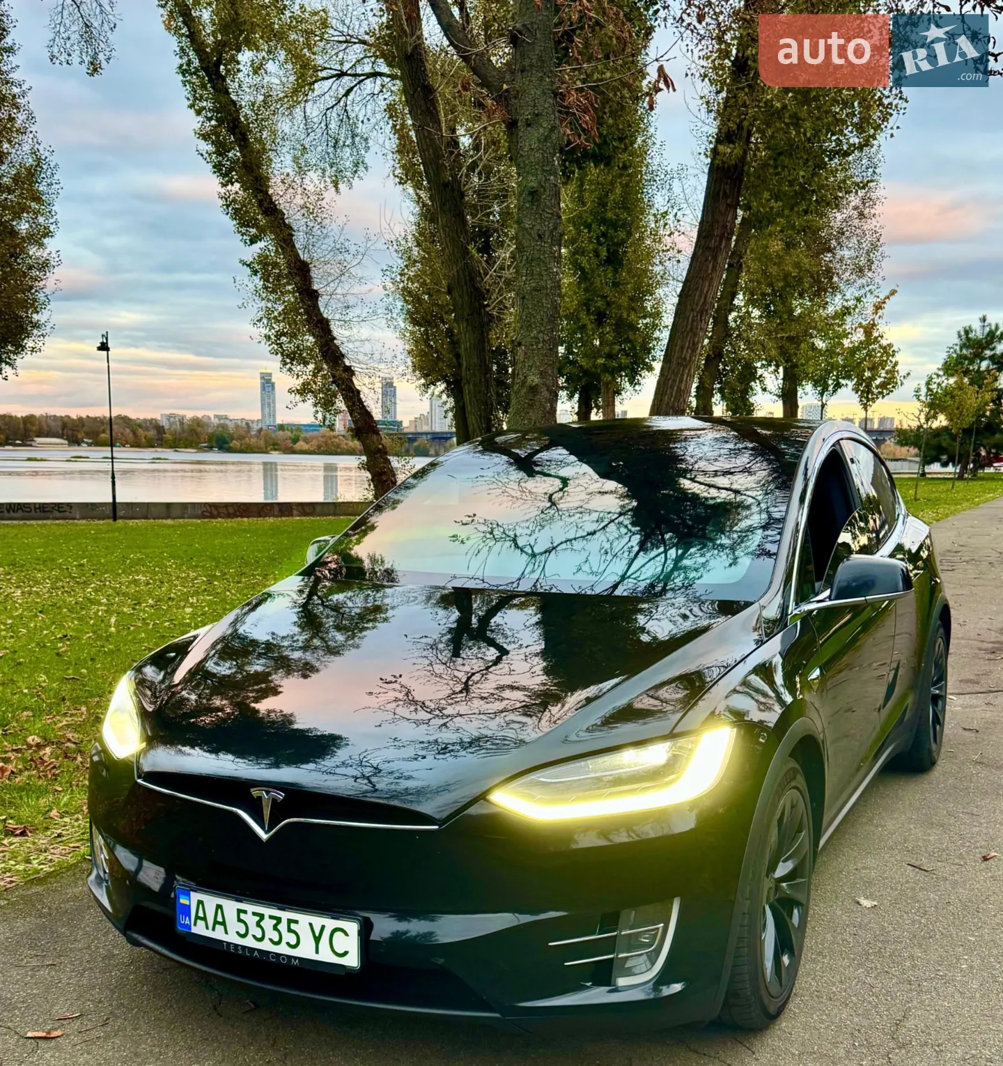 2019 Tesla Model X - мініатюра 7