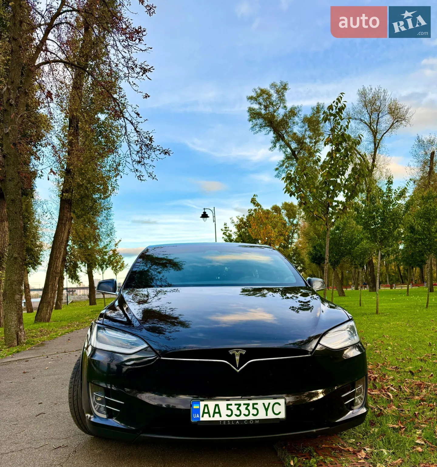 2019 Tesla Model X - мініатюра 11