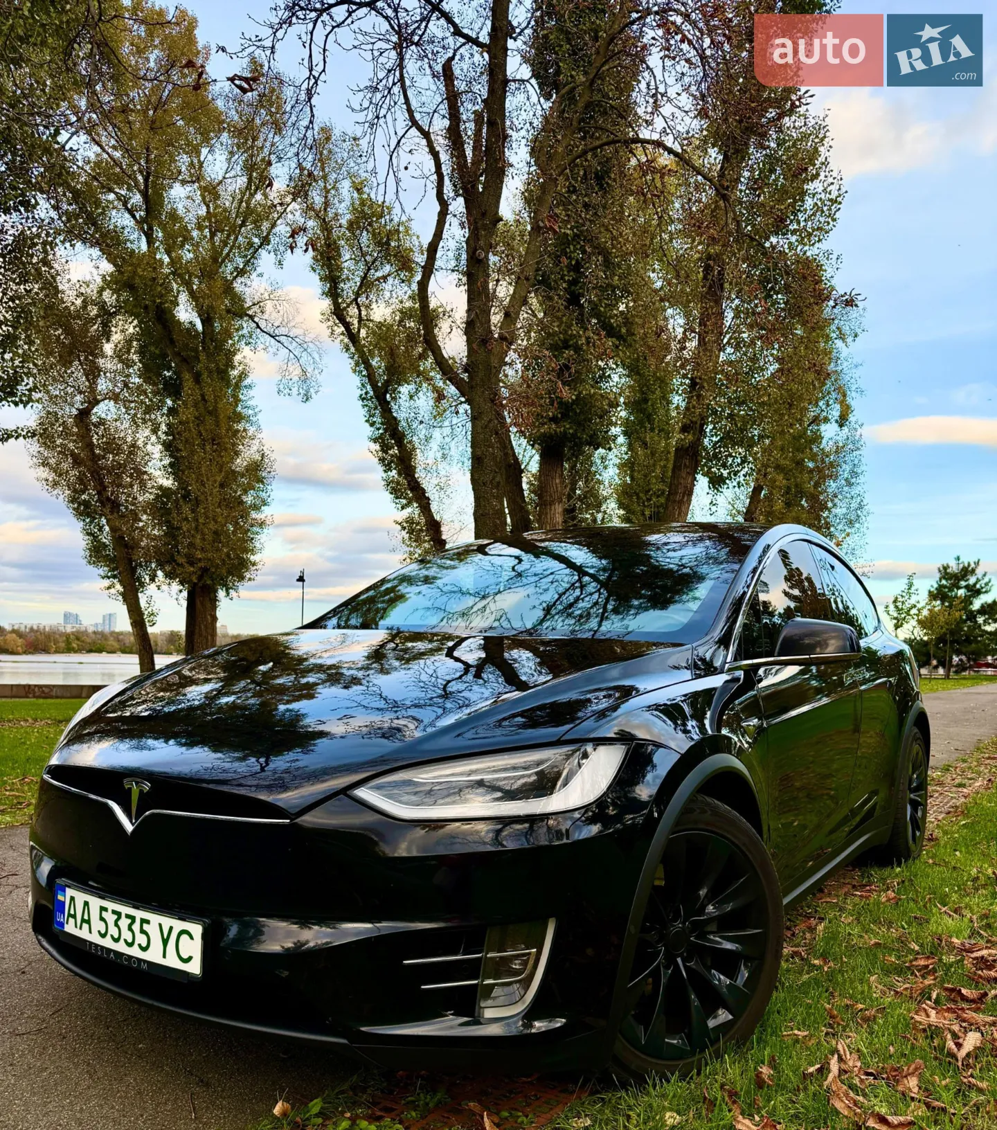 2019 Tesla Model X - мініатюра 2