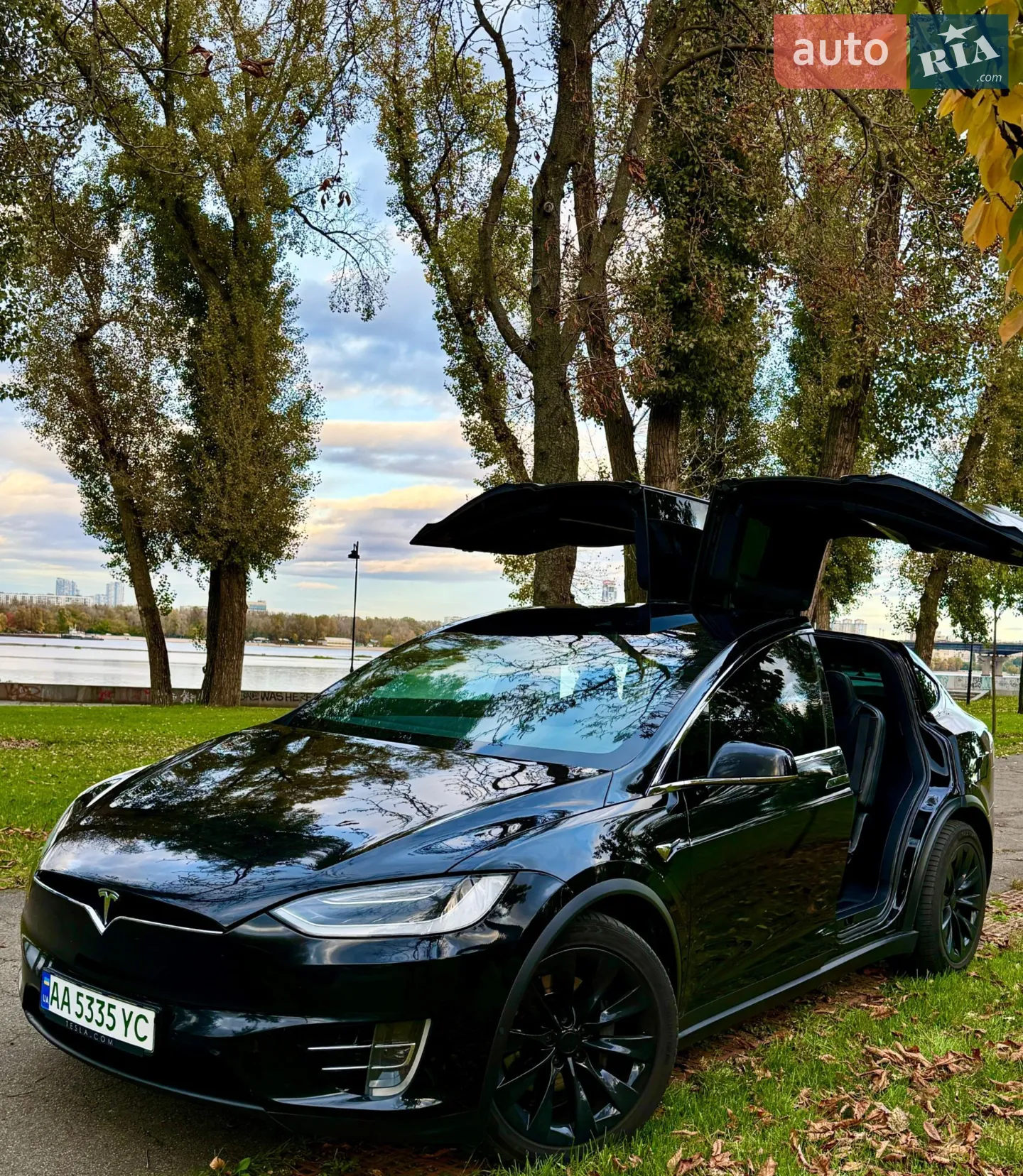 2019 Tesla Model X - мініатюра 16