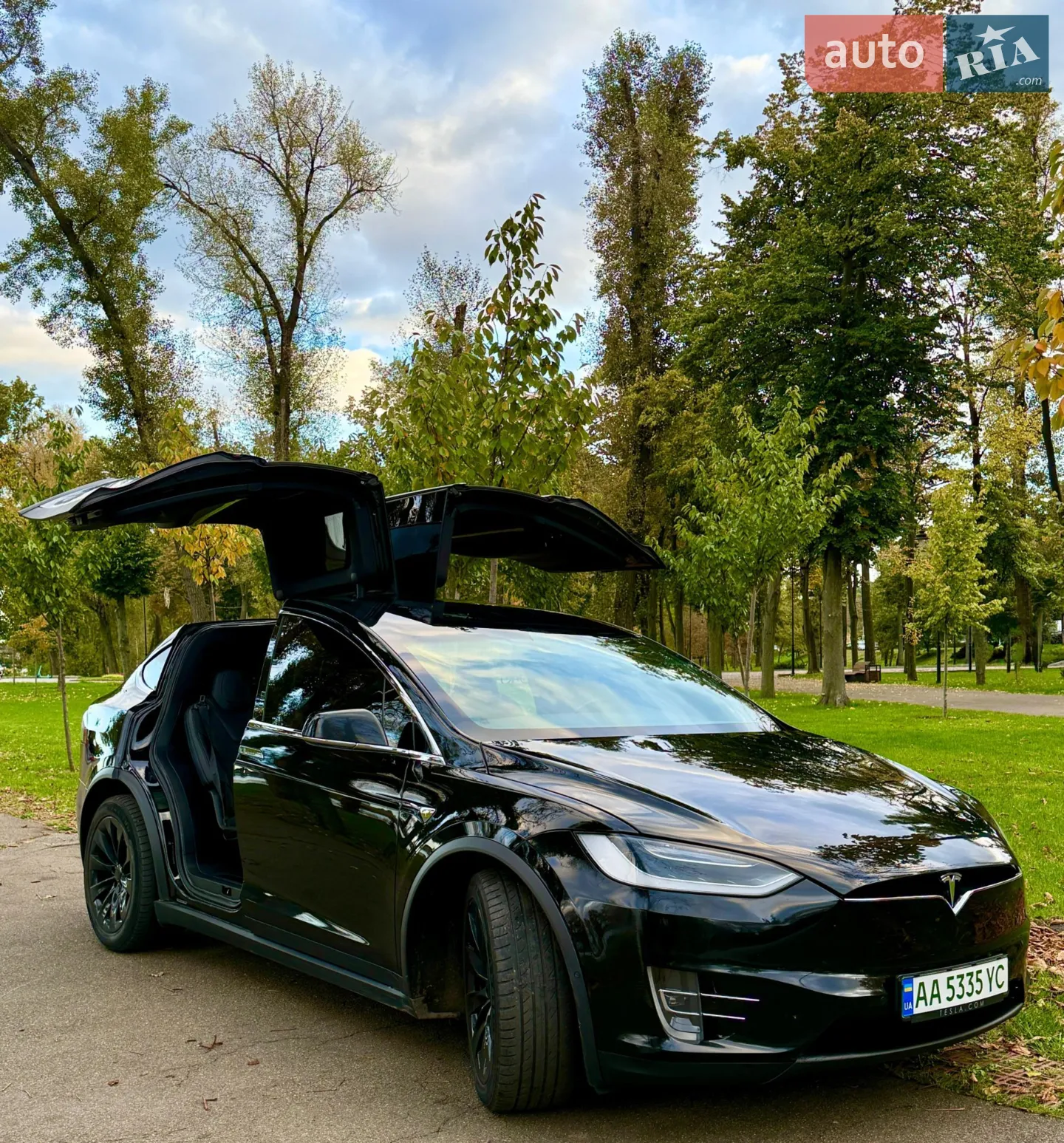 2019 Tesla Model X - мініатюра 9