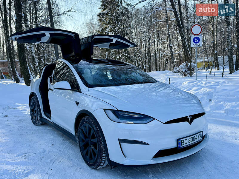 Внедорожник / Кроссовер Tesla Model X 2023 в Тернополе