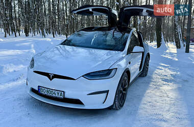 Внедорожник / Кроссовер Tesla Model X 2023 в Тернополе