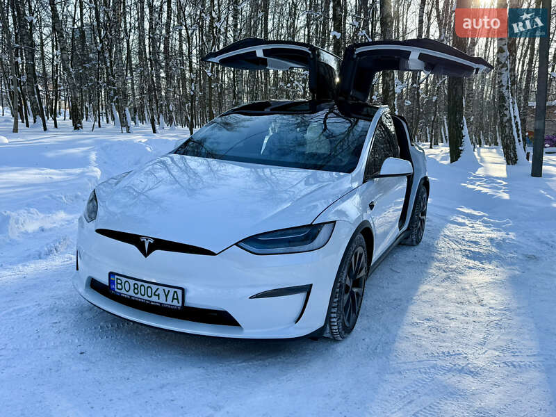 Внедорожник / Кроссовер Tesla Model X 2023 в Тернополе