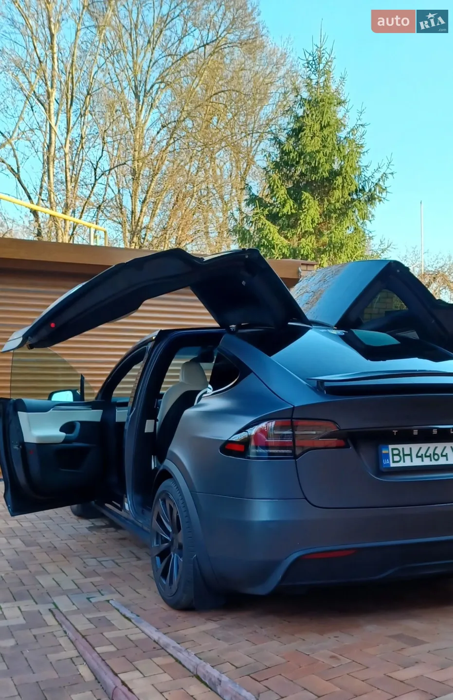 2023 Tesla Model X - мініатюра 6