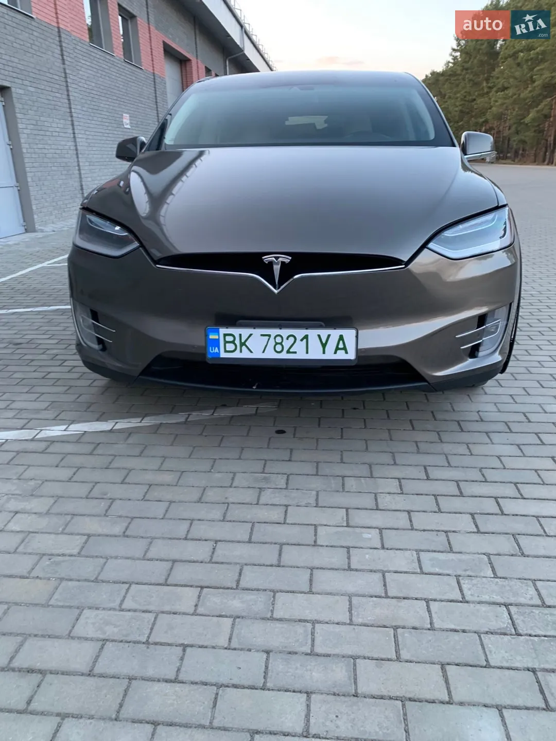 2016 Tesla Model X - мініатюра 4