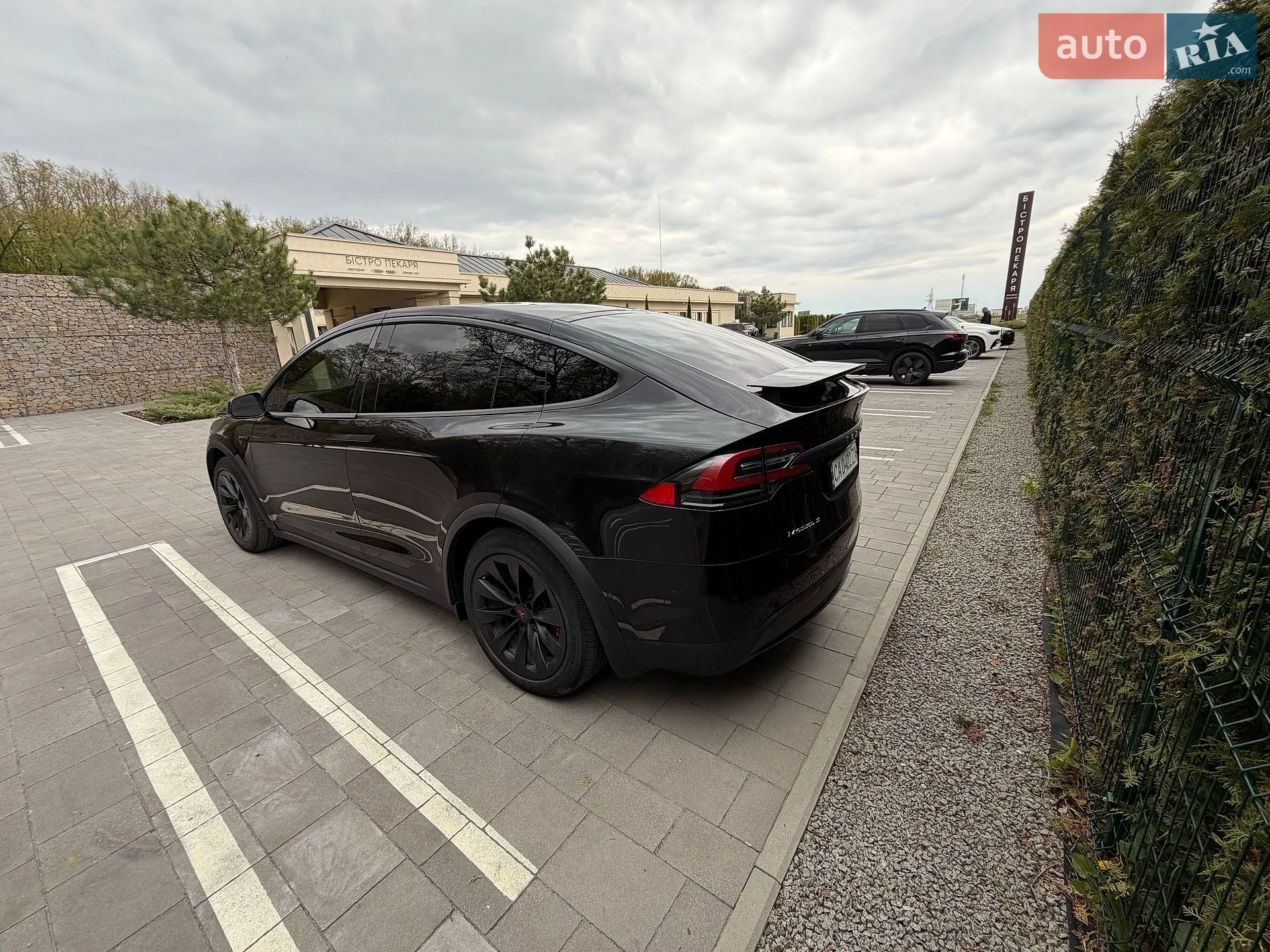2017 Tesla Model X - мініатюра 4