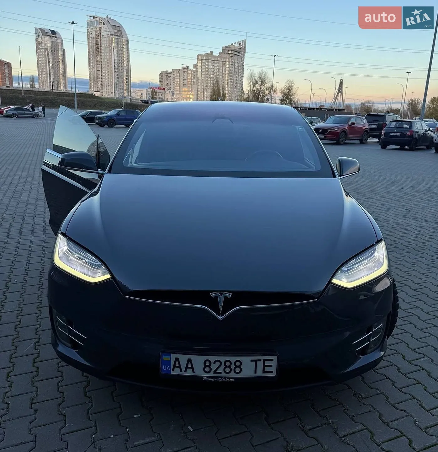 2017 Tesla Model X - мініатюра 5