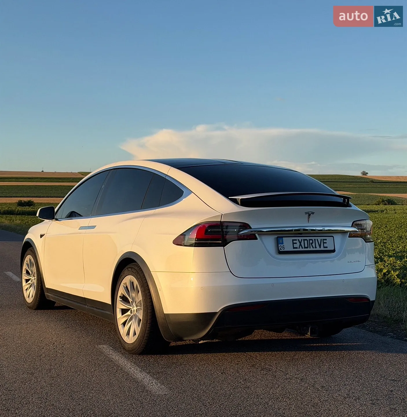 2019 Tesla Model X - мініатюра 12