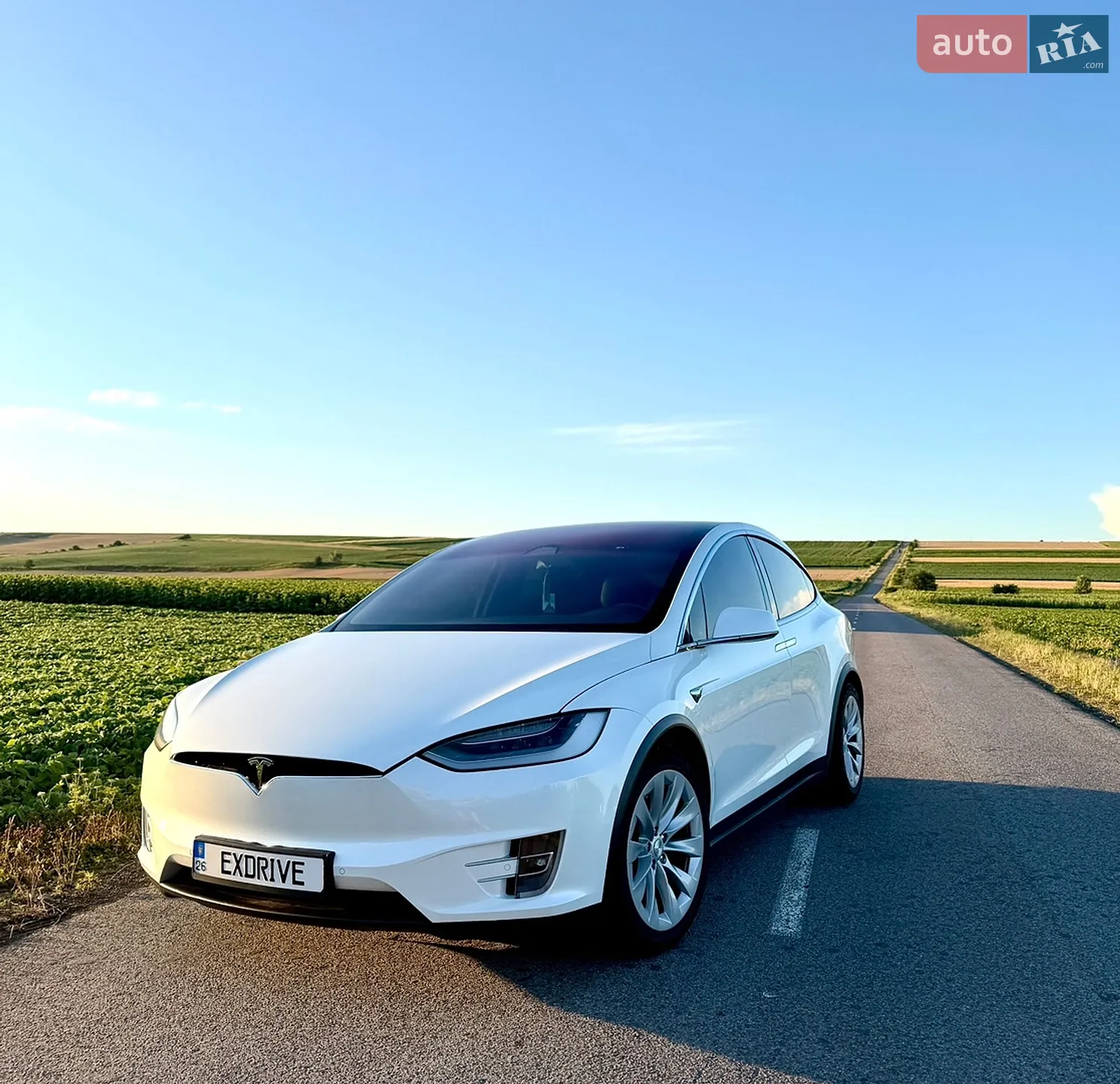 2019 Tesla Model X - мініатюра 4