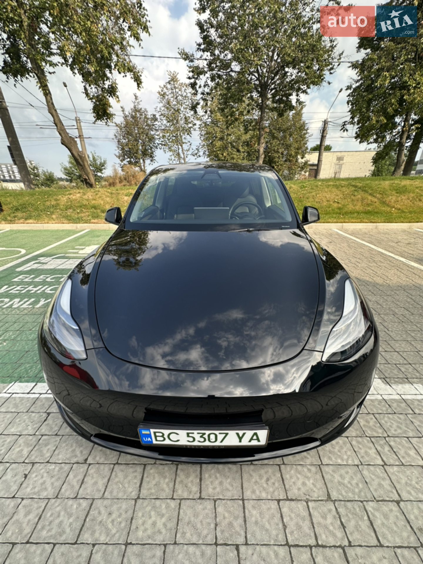 2021 Tesla Model Y - мініатюра 2