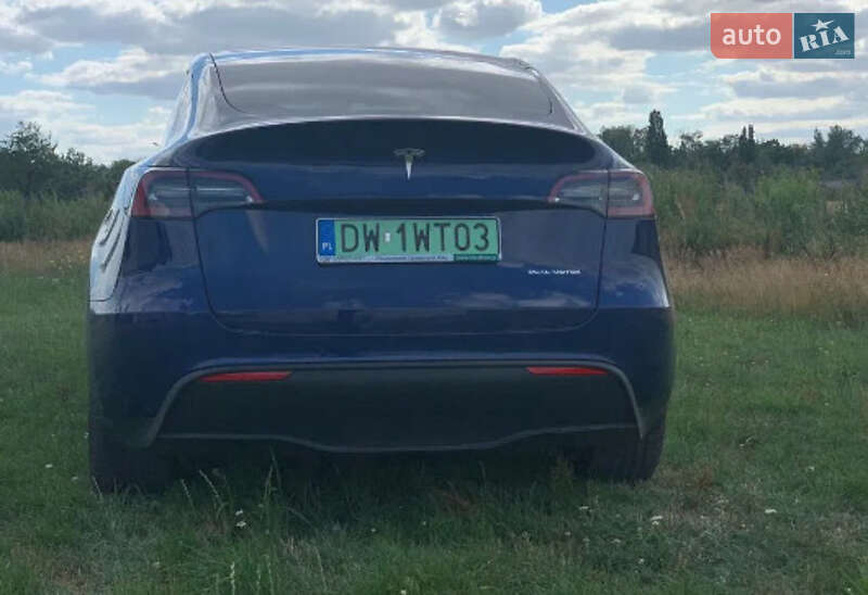 Внедорожник / Кроссовер Tesla Model Y 2021 в Житомире