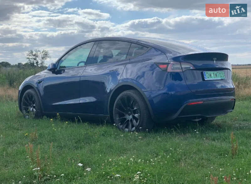 Внедорожник / Кроссовер Tesla Model Y 2021 в Житомире