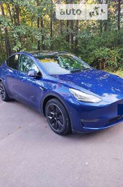 Внедорожник / Кроссовер Tesla Model Y 2020 в Житомире