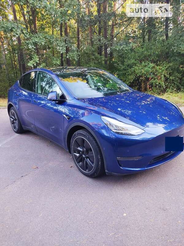 Внедорожник / Кроссовер Tesla Model Y 2020 в Житомире