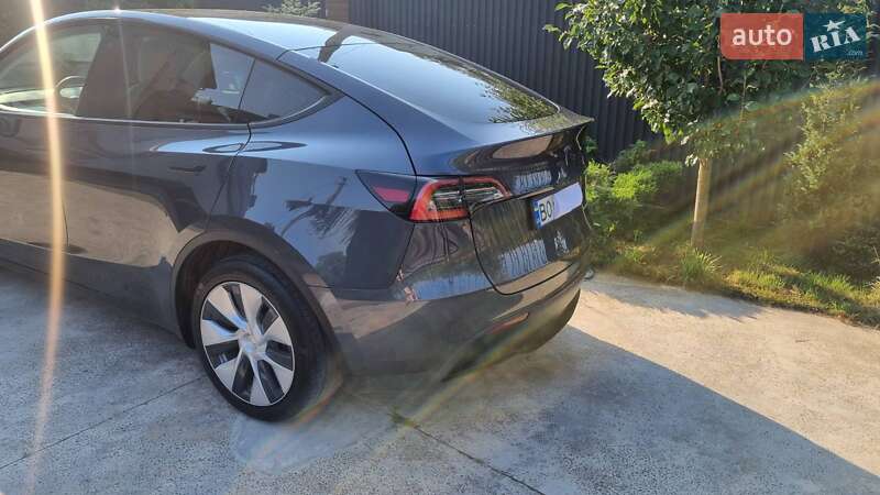 Внедорожник / Кроссовер Tesla Model Y 2020 в Тернополе