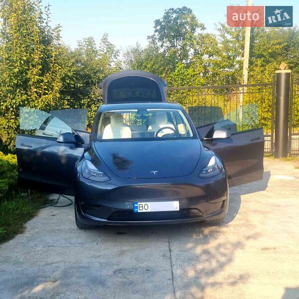 Внедорожник / Кроссовер Tesla Model Y 2020 в Тернополе