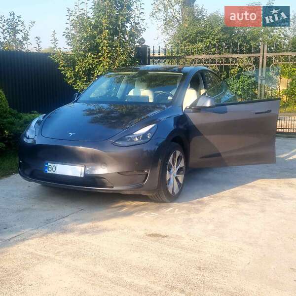 Внедорожник / Кроссовер Tesla Model Y 2020 в Тернополе