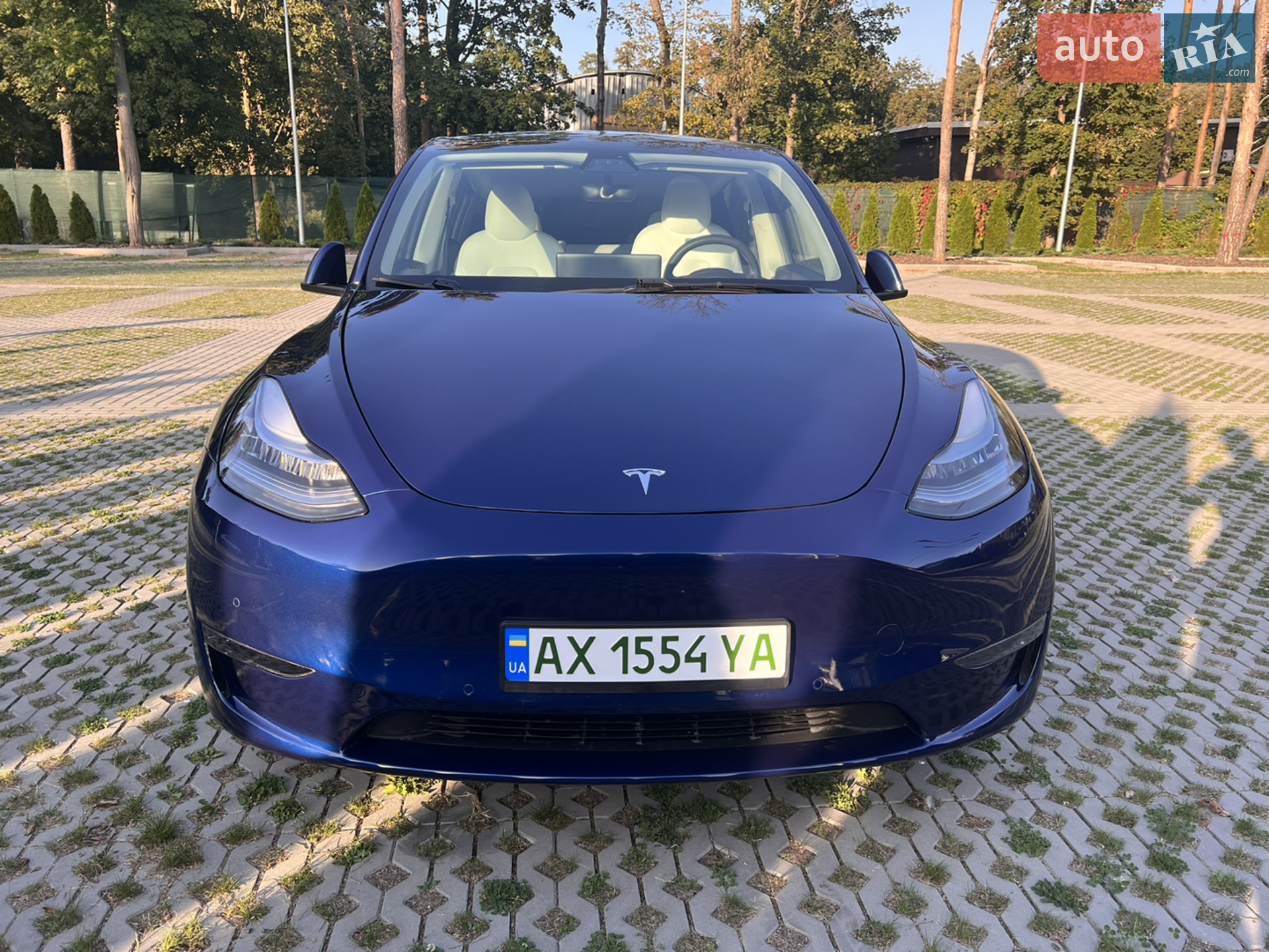 2020 Tesla Model Y - мініатюра 2