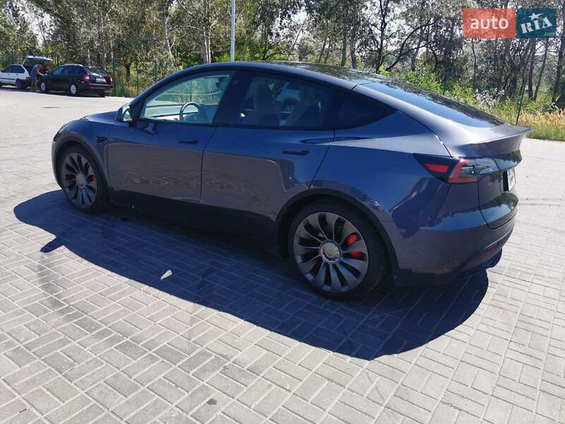 Внедорожник / Кроссовер Tesla Model Y 2022 в Днепре