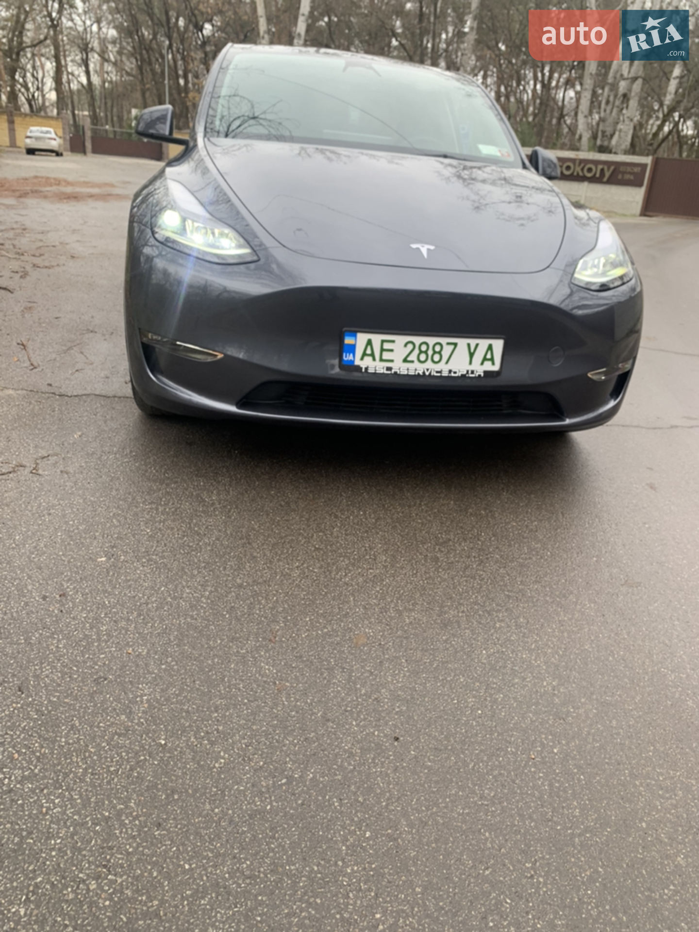 2022 Tesla Model Y - мініатюра 4