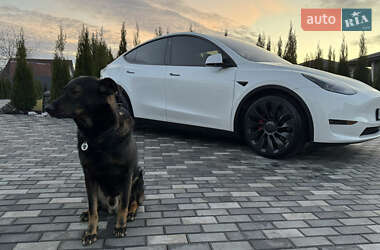 Внедорожник / Кроссовер Tesla Model Y 2022 в Киеве