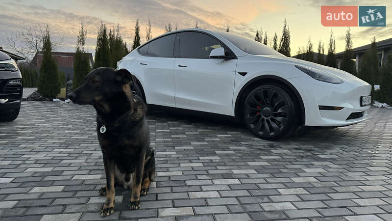 Позашляховик / Кросовер Tesla Model Y 2022 в Києві
