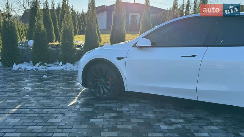 Позашляховик / Кросовер Tesla Model Y 2022 в Києві