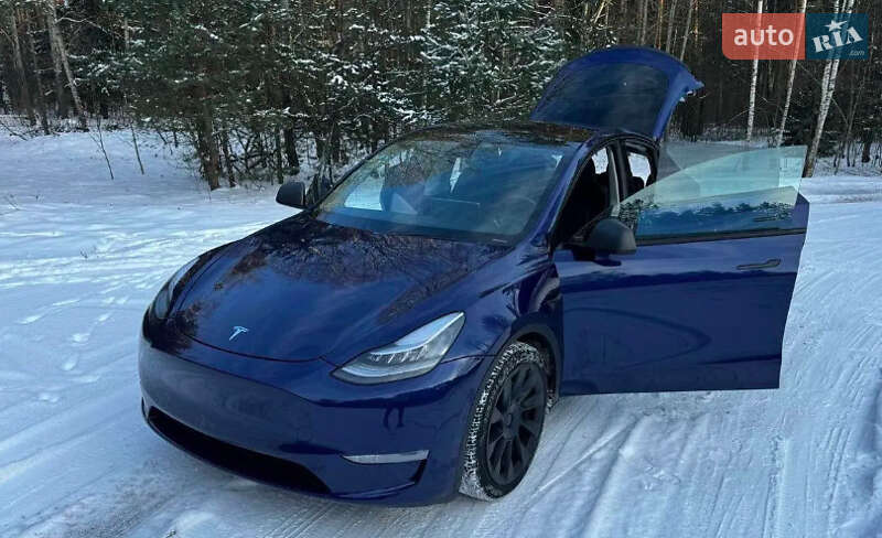 Внедорожник / Кроссовер Tesla Model Y 2020 в Яремче