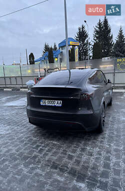 Внедорожник / Кроссовер Tesla Model Y 2020 в Тернополе