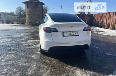 Позашляховик / Кросовер Tesla Model Y 2020 в Тернополі