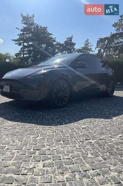 Внедорожник / Кроссовер Tesla Model Y 2021 в Днепре