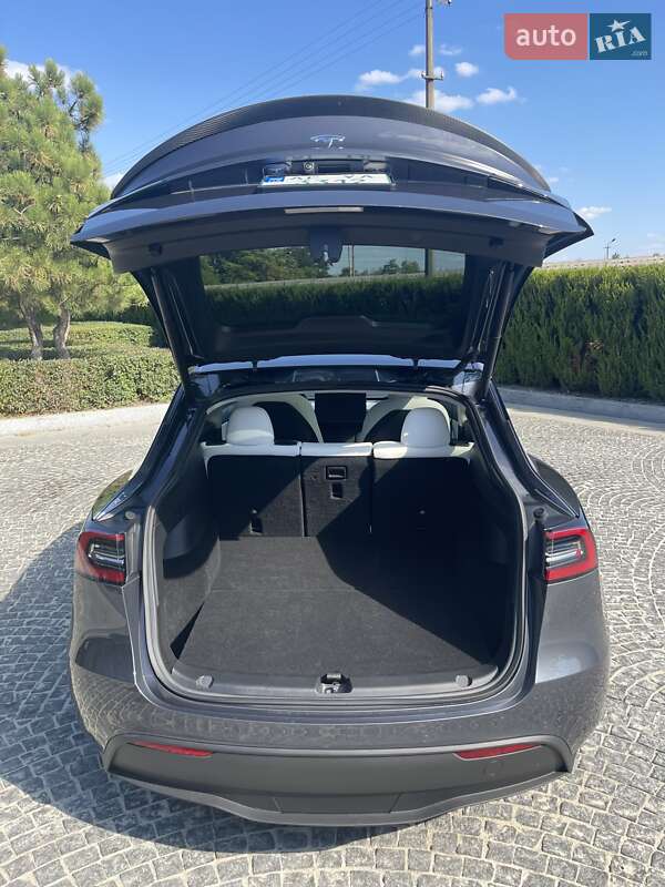 Позашляховик / Кросовер Tesla Model Y 2021 в Дніпрі