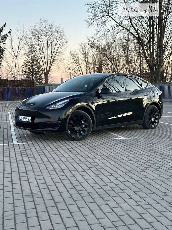 Внедорожник / Кроссовер Tesla Model Y 2021 в Тернополе