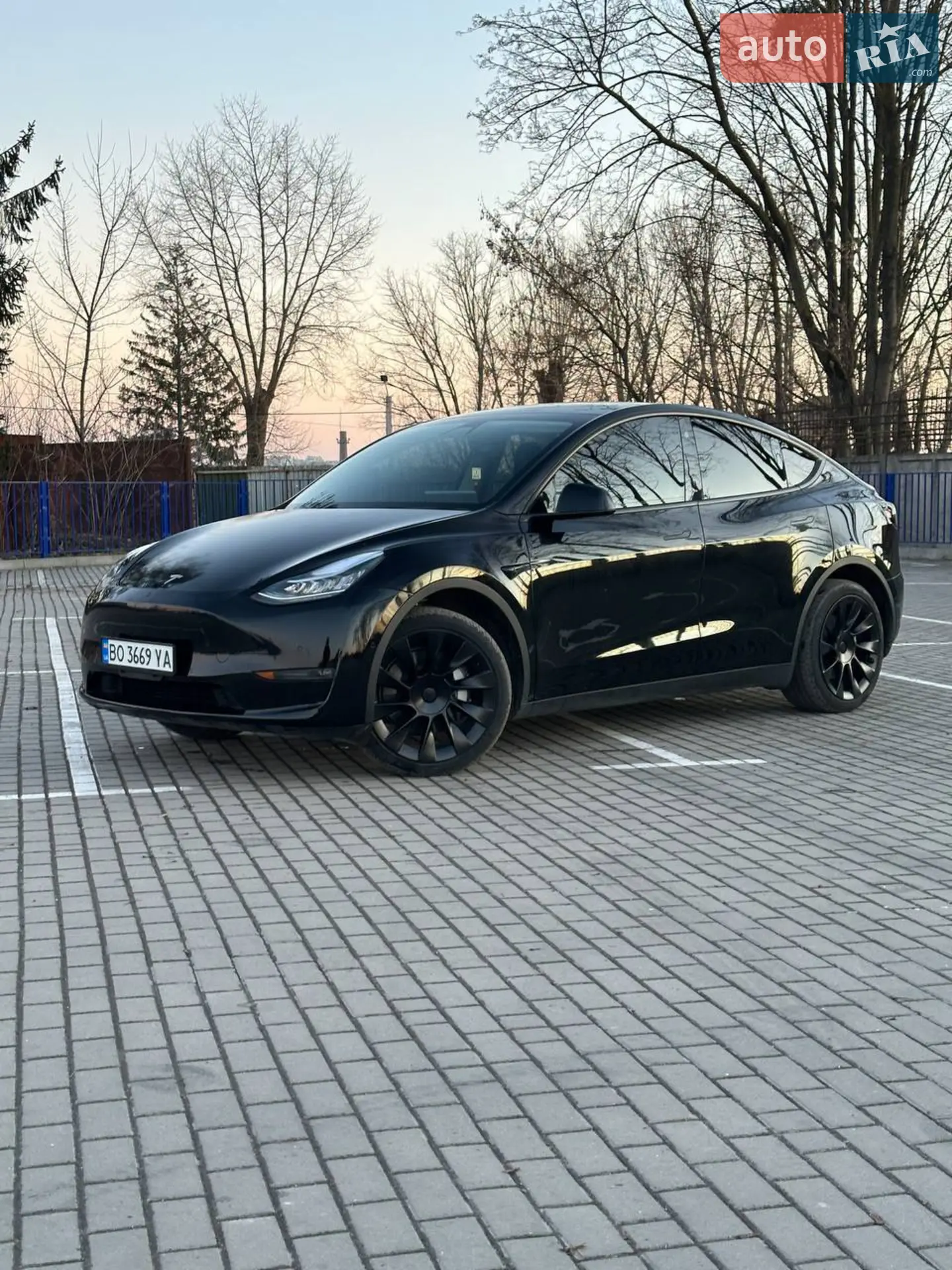 2021 Tesla Model Y - фото 1