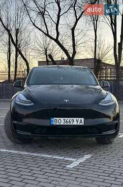 Внедорожник / Кроссовер Tesla Model Y 2021 в Тернополе