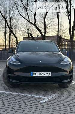 Внедорожник / Кроссовер Tesla Model Y 2021 в Тернополе