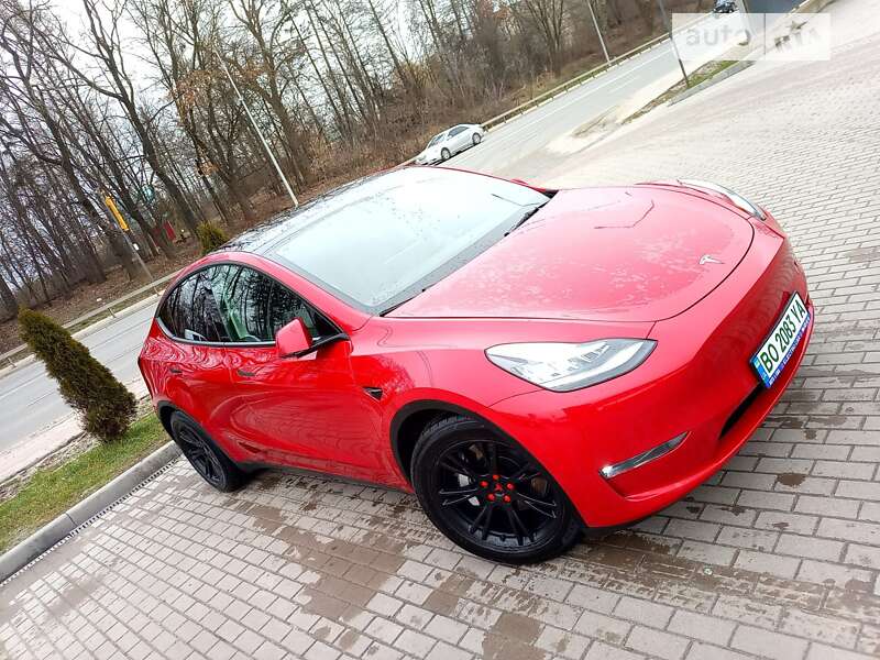 Внедорожник / Кроссовер Tesla Model Y 2021 в Тернополе