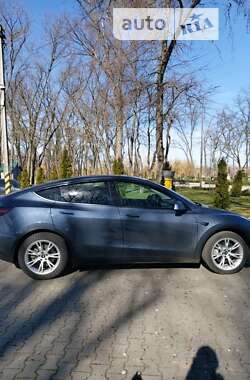 Внедорожник / Кроссовер Tesla Model Y 2020 в Александрие