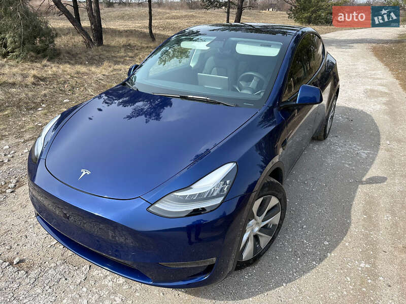 Позашляховик / Кросовер Tesla Model Y 2021 в Кам'янському