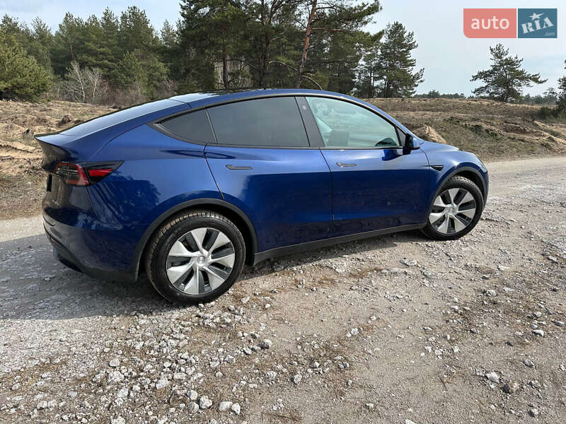 Позашляховик / Кросовер Tesla Model Y 2021 в Кам'янському